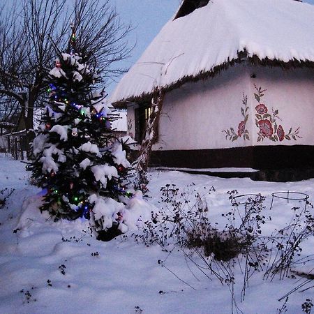 Koryakivskyi Rai Pension Dmitrenki Buitenkant foto