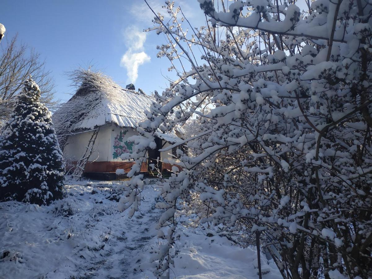 Koryakivskyi Rai Pension Dmitrenki Buitenkant foto