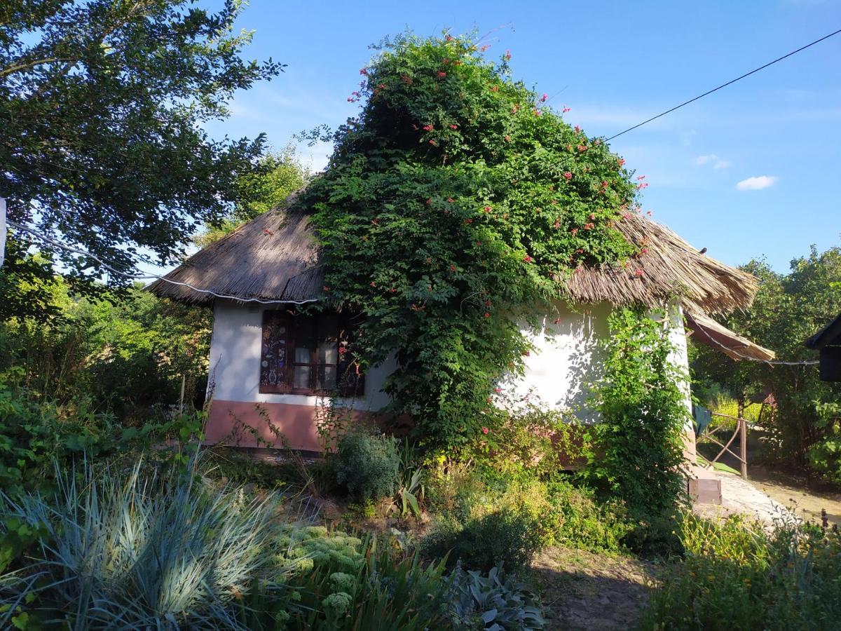 Koryakivskyi Rai Pension Dmitrenki Buitenkant foto