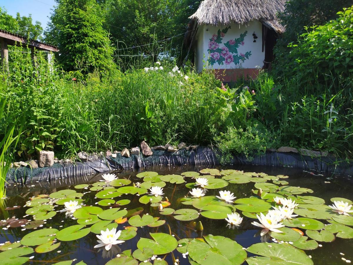 Koryakivskyi Rai Pension Dmitrenki Buitenkant foto
