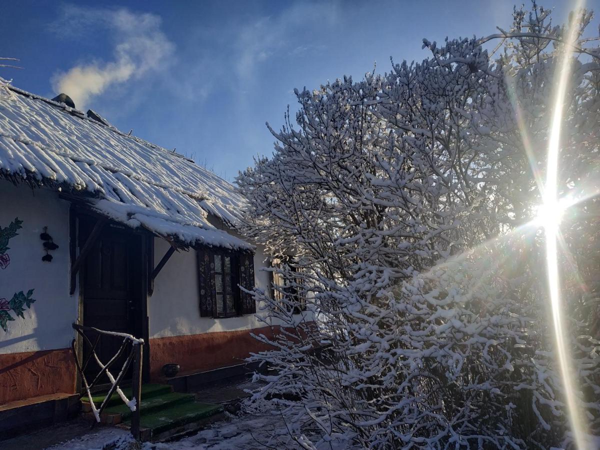 Koryakivskyi Rai Pension Dmitrenki Buitenkant foto