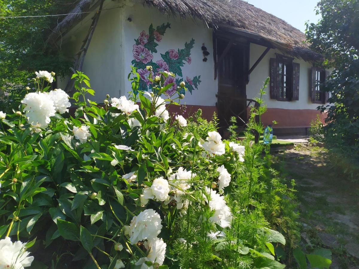 Koryakivskyi Rai Pension Dmitrenki Buitenkant foto