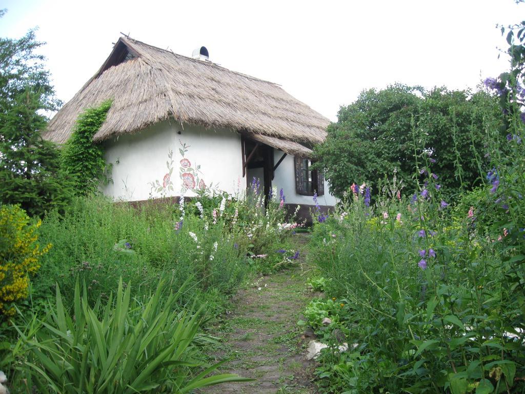 Koryakivskyi Rai Pension Dmitrenki Buitenkant foto