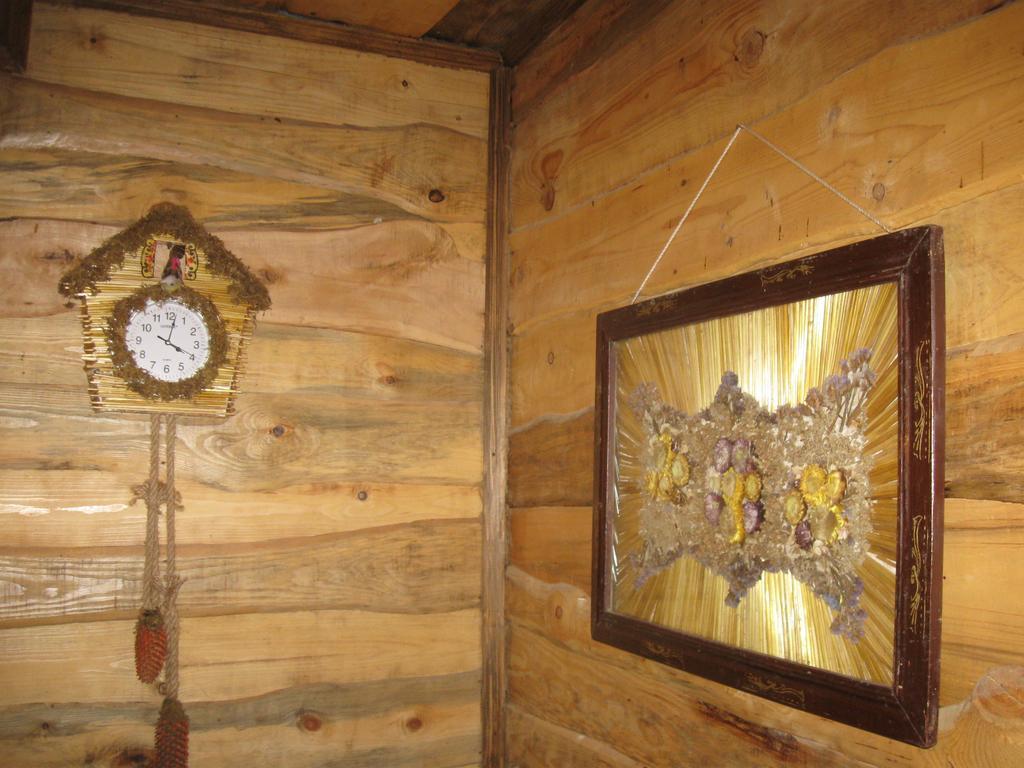 Koryakivskyi Rai Pension Dmitrenki Buitenkant foto