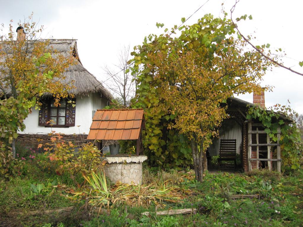 Koryakivskyi Rai Pension Dmitrenki Buitenkant foto