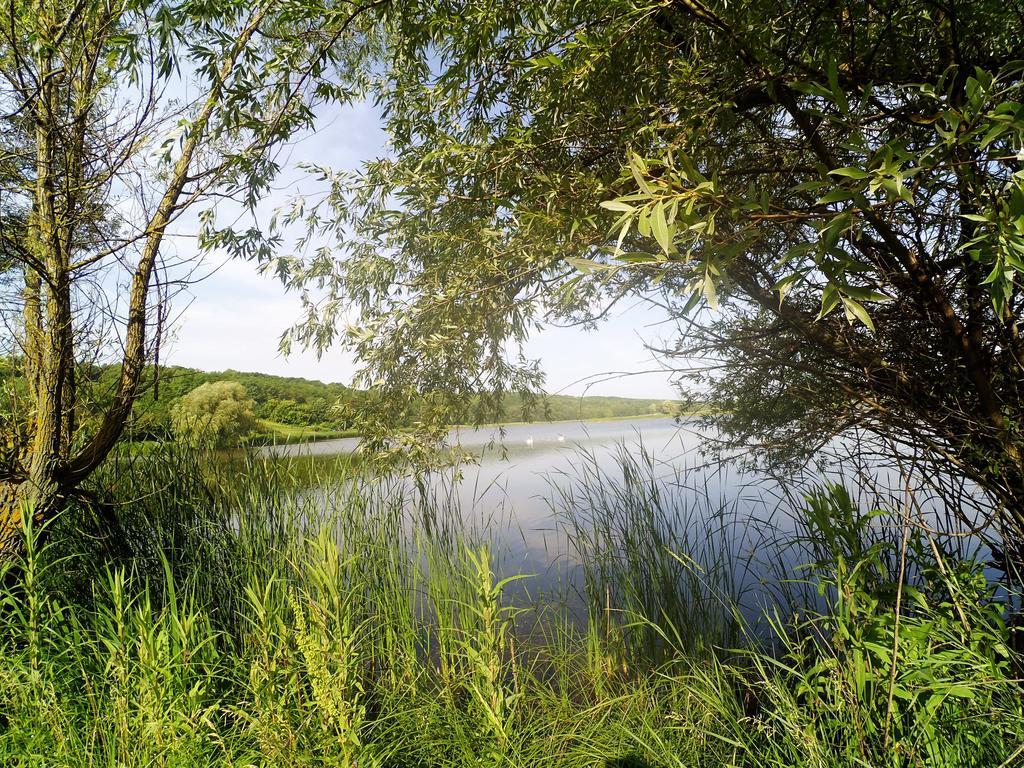 Koryakivskyi Rai Pension Dmitrenki Buitenkant foto