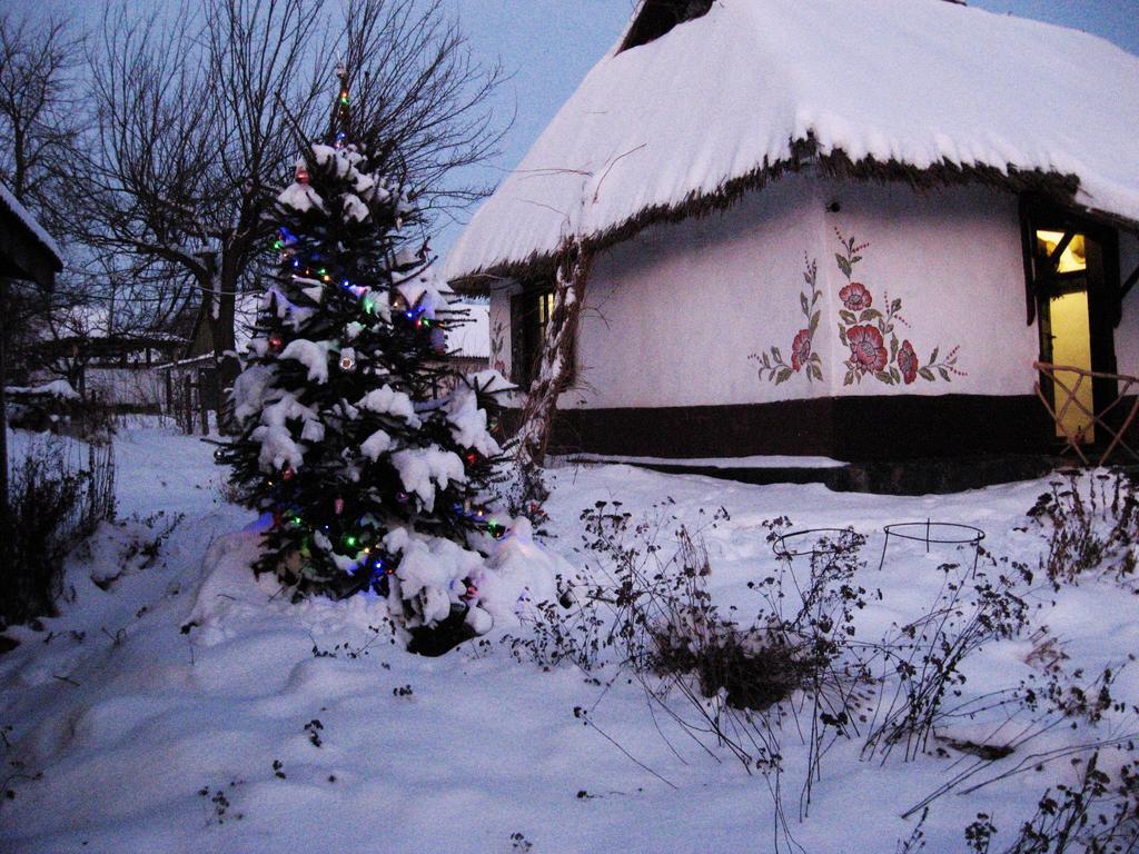 Koryakivskyi Rai Pension Dmitrenki Buitenkant foto