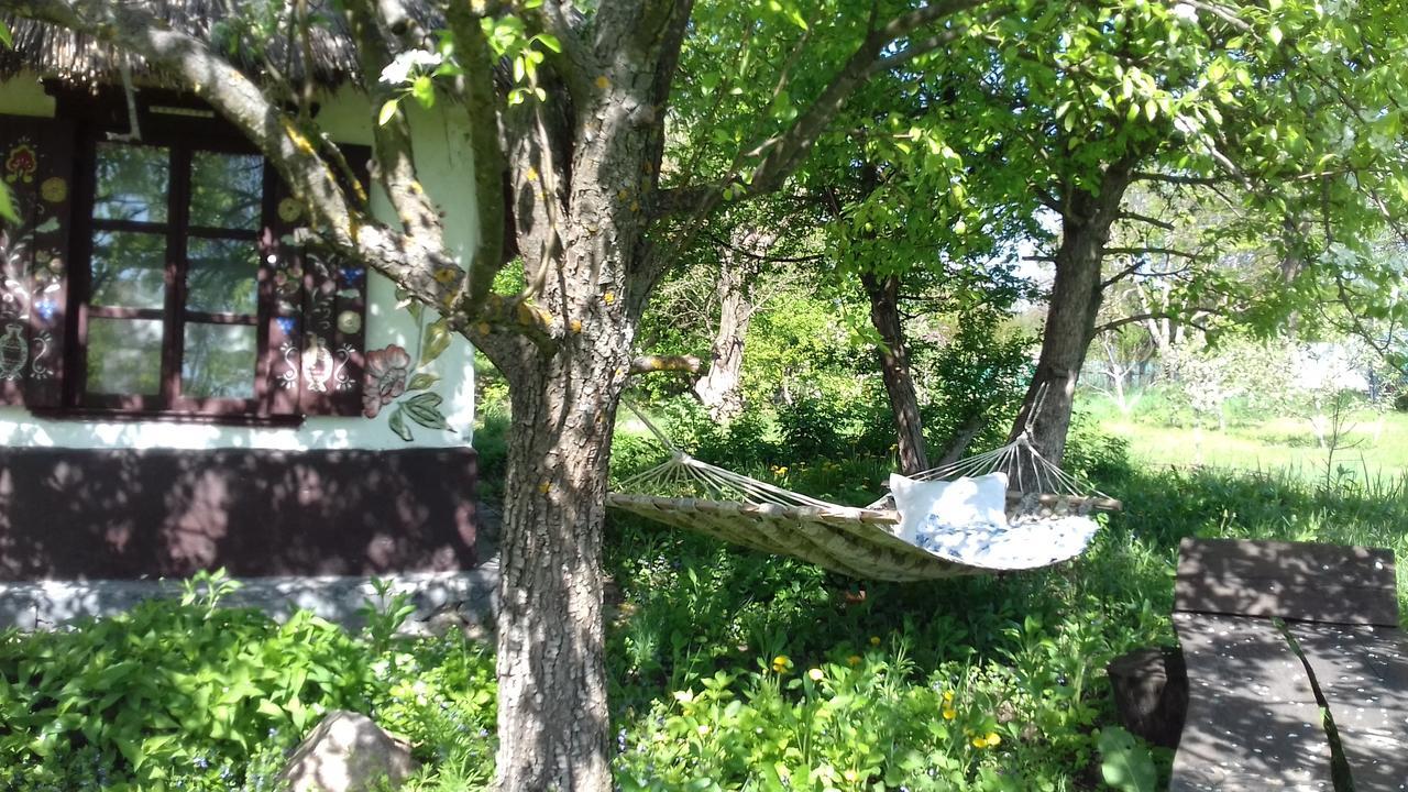 Koryakivskyi Rai Pension Dmitrenki Buitenkant foto