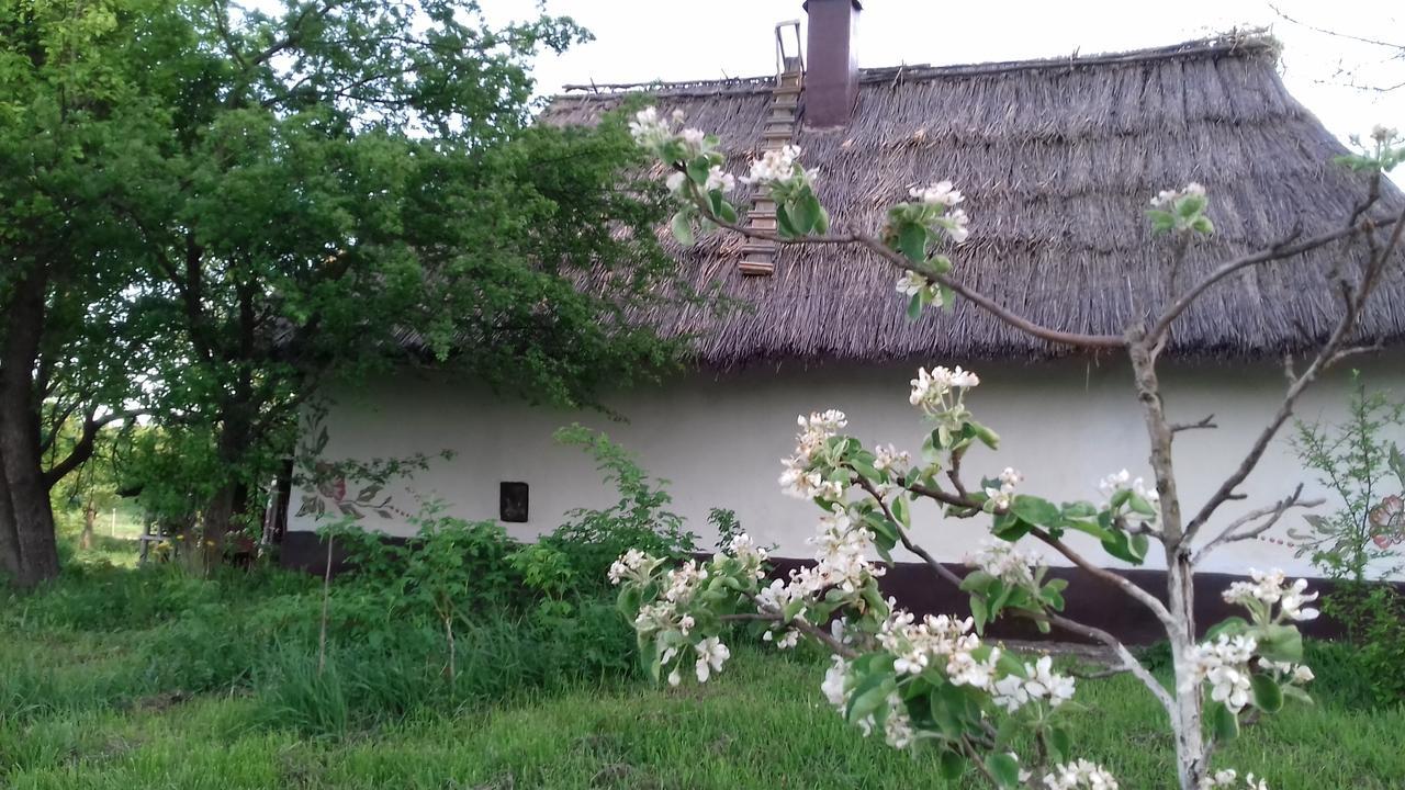 Koryakivskyi Rai Pension Dmitrenki Buitenkant foto