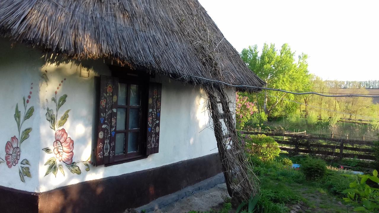 Koryakivskyi Rai Pension Dmitrenki Buitenkant foto