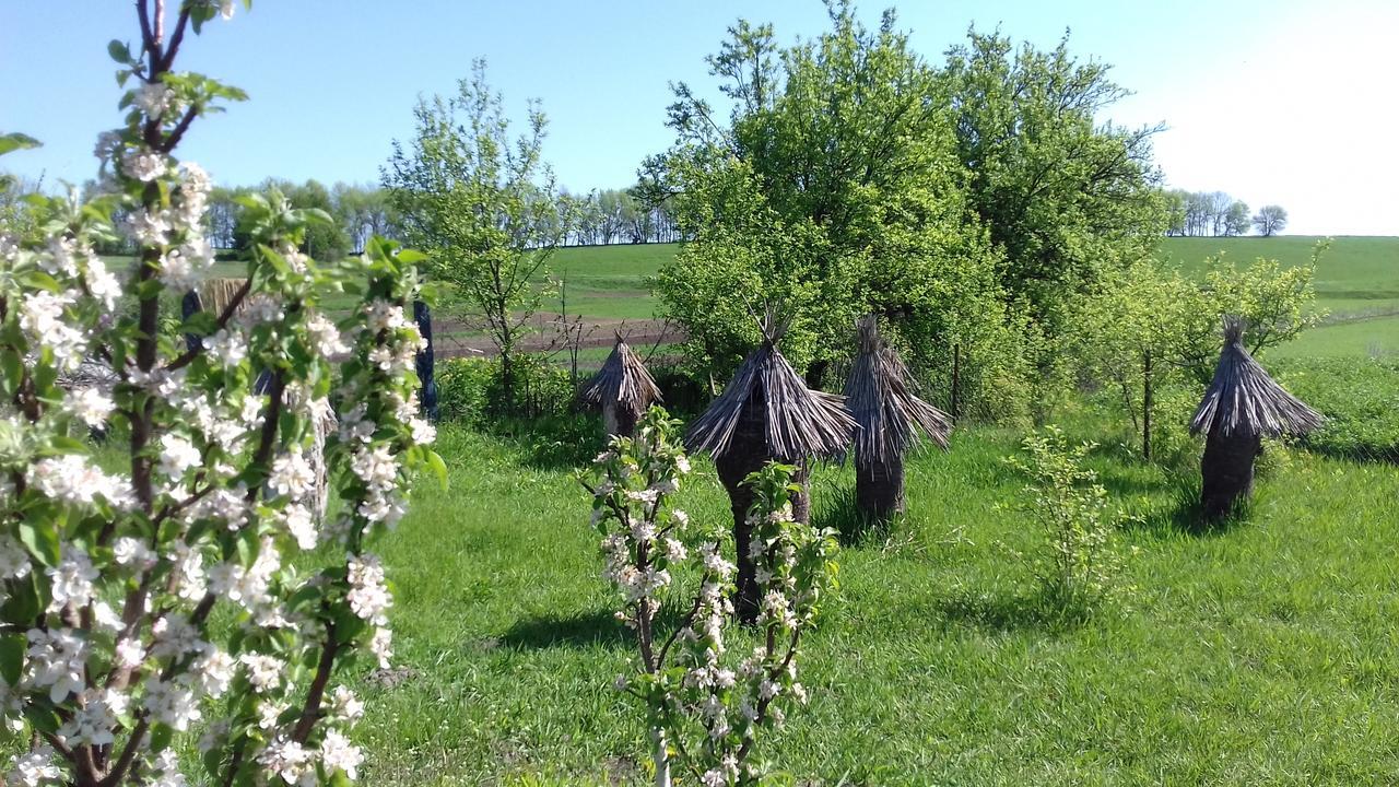 Koryakivskyi Rai Pension Dmitrenki Buitenkant foto