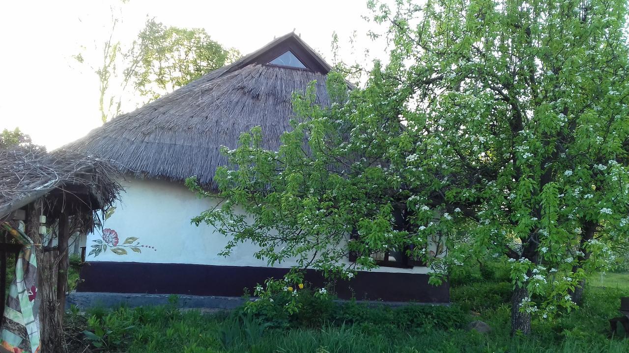 Koryakivskyi Rai Pension Dmitrenki Buitenkant foto
